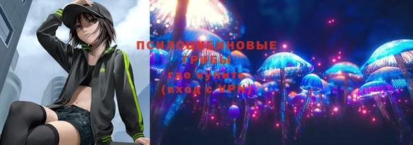 каннабис Новодвинск
