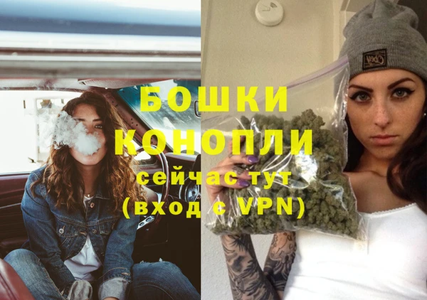 прущие грибы Беслан