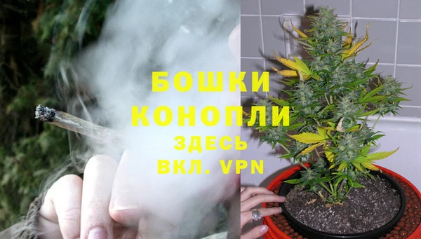 мескалин Новозыбков